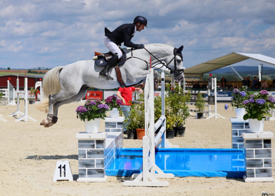 Immenrode, CSI2* Alpführen: Chevalier qualifiziert sich zum Bundeschampionat, Top-Platzierungen für sechs Springhengste